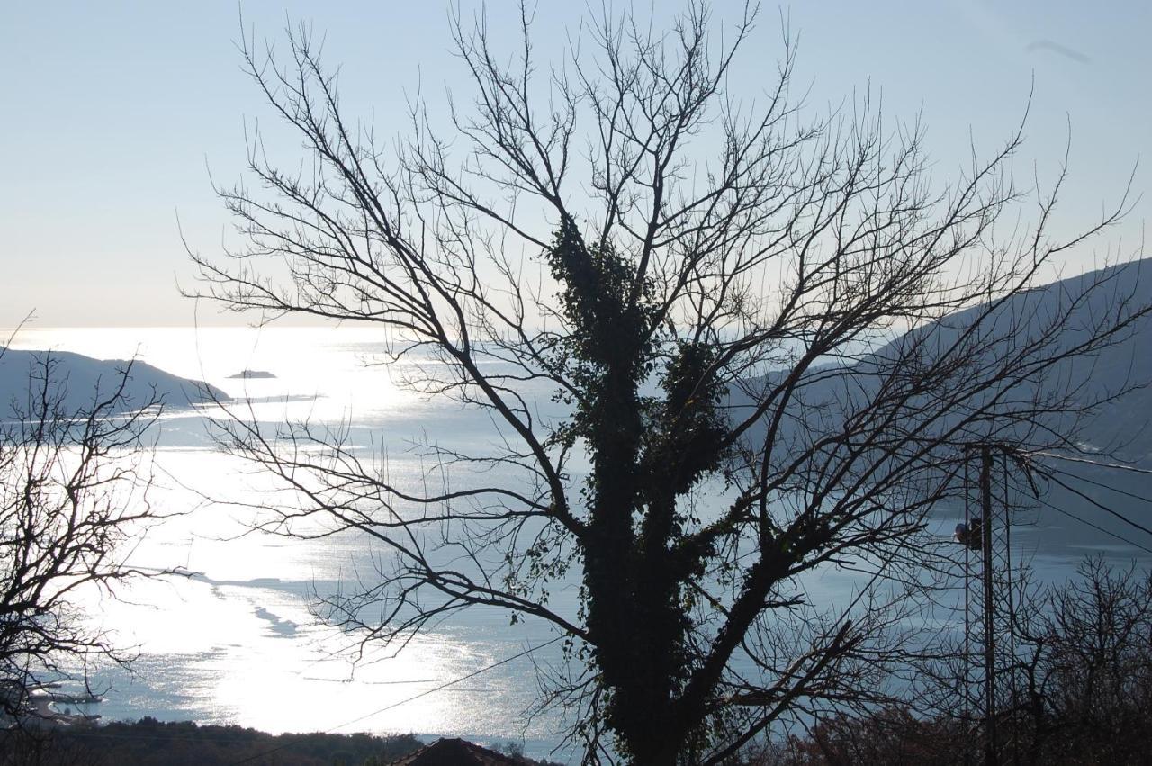 Willa Old House Djurovic Herceg Novi Zewnętrze zdjęcie
