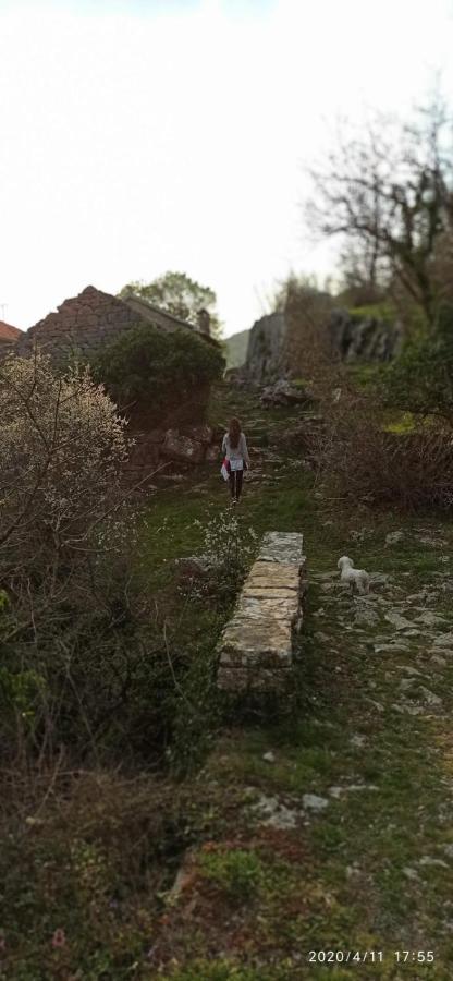 Willa Old House Djurovic Herceg Novi Zewnętrze zdjęcie