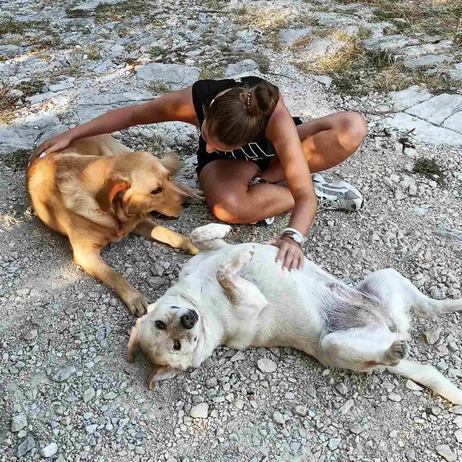 Willa Old House Djurovic Herceg Novi Zewnętrze zdjęcie