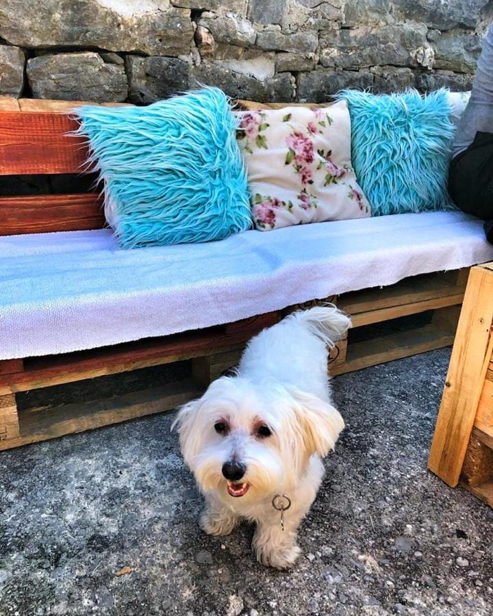 Willa Old House Djurovic Herceg Novi Zewnętrze zdjęcie